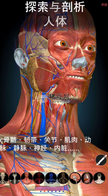Anatomy Learning v2.1.392 3D 解剖學(xué)