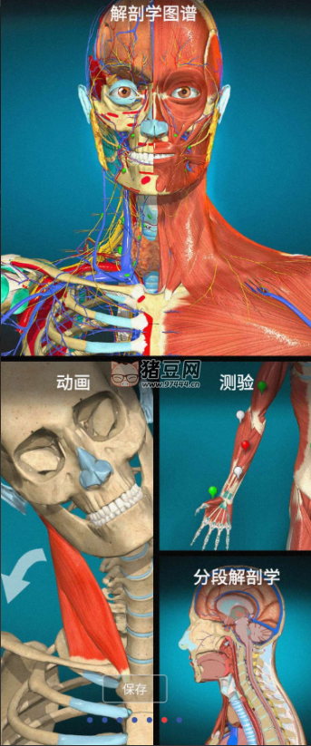 Anatomy Learning v2.1.392 3D 解剖學(xué)