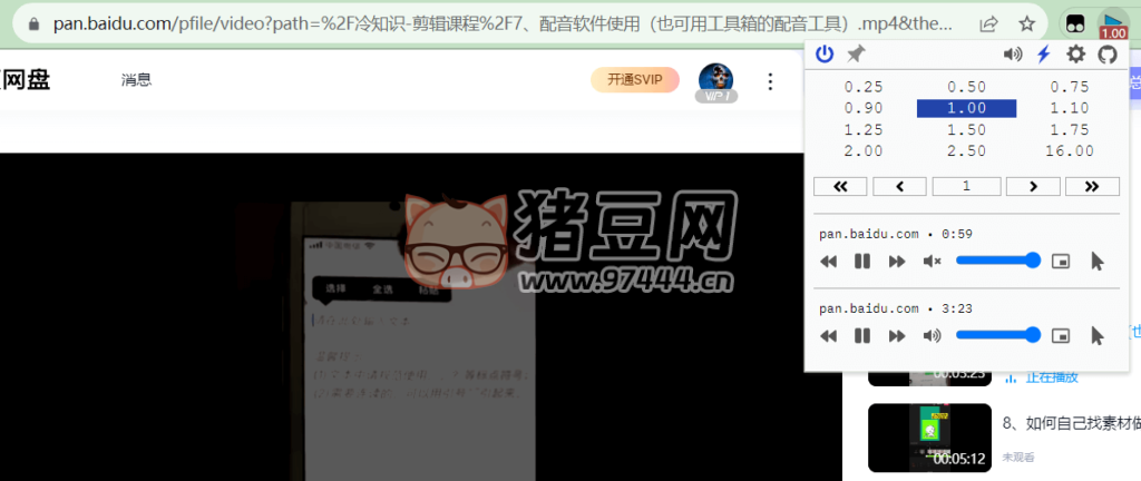 Global Speed v2.9.9971 視頻速度控制插件