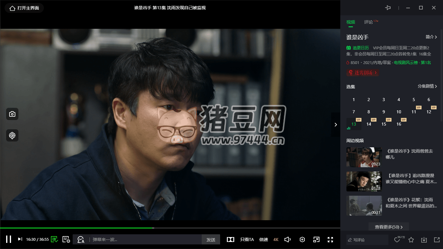 PC 愛奇藝 v12.1.5.7769 綠色版