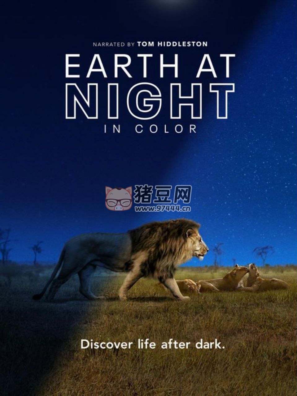 《夜色中的地球》(2020) 4K HDR 中字外掛字幕