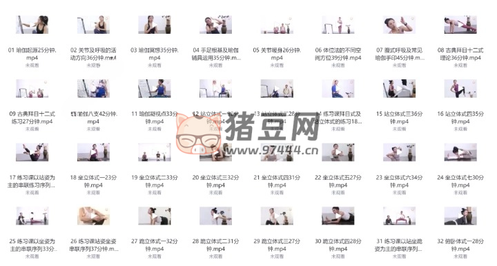 瑜伽從初級到高級（100 課）