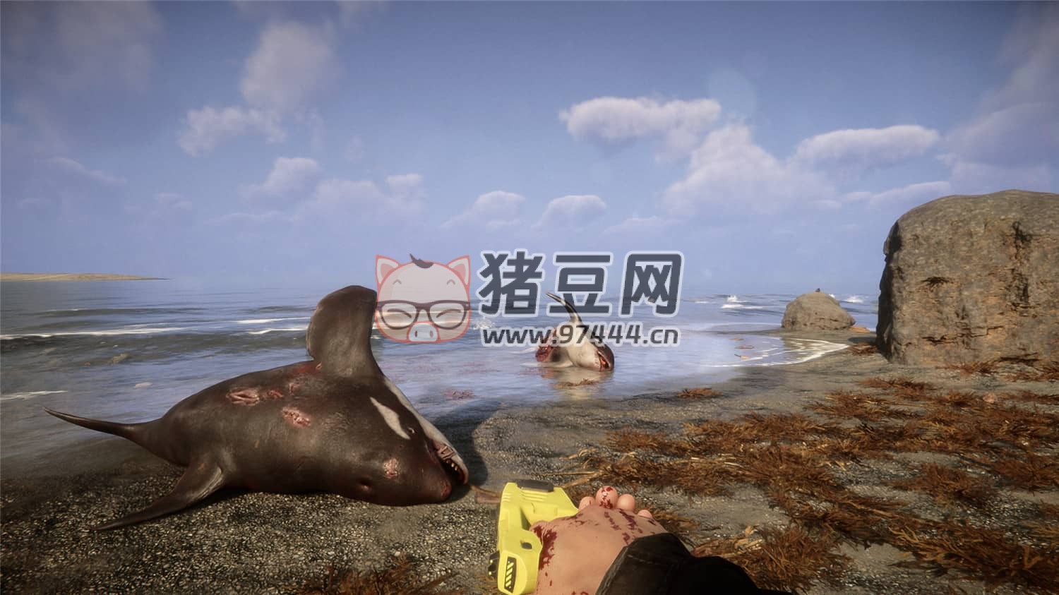 《森林之子》v48257 正式版