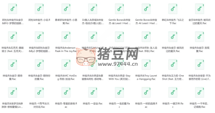 林俊杰無損歌曲 205 首