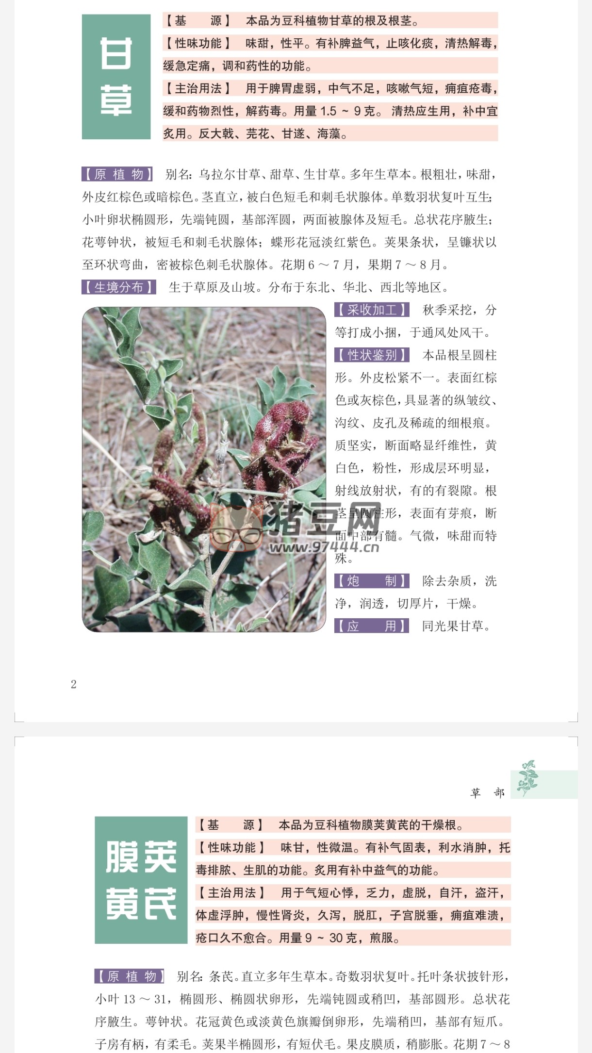 本草綱目原色圖譜 800 例