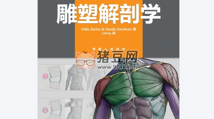雕塑解剖學(xué)（繪畫入門參考必備）