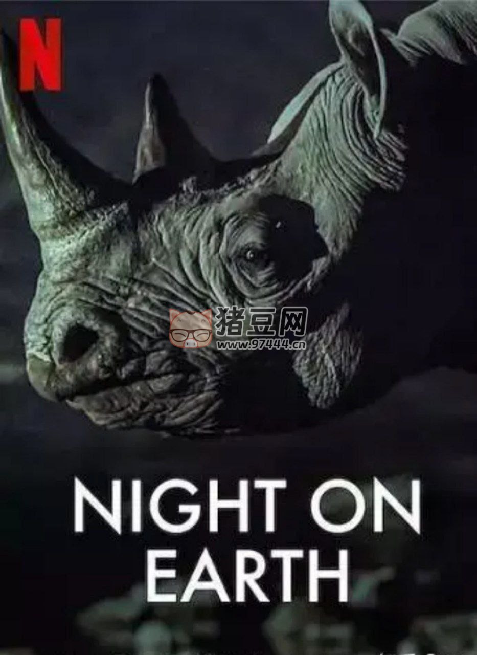 《地球的夜晚》(2020) 1080P 中字外掛字幕
