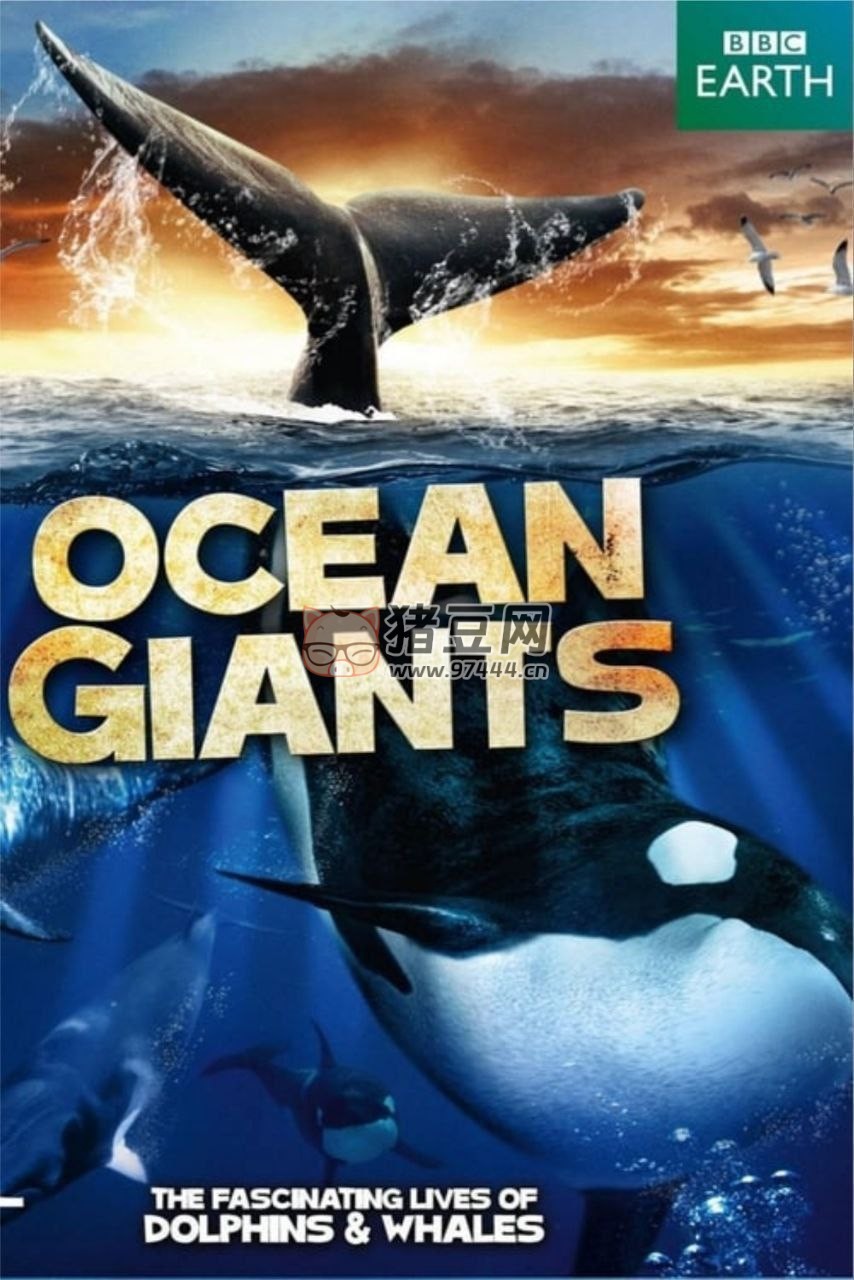 《海洋巨獸》BBC (2011) 1080P 中英硬字幕