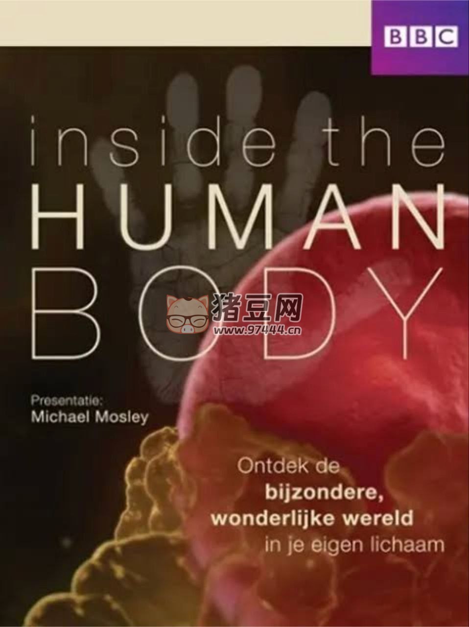 《人體奧秘》BBC(2011) 1080P 國(guó)英雙音軌 默認(rèn)國(guó)語(yǔ) 中字內(nèi)嵌字幕