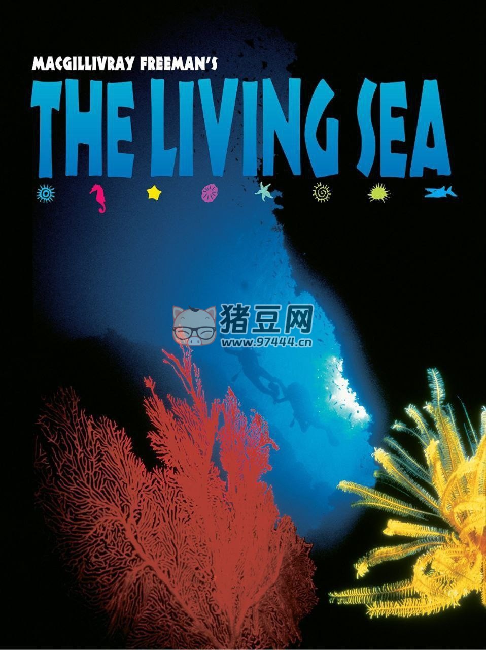 《生命海洋》(1995) 4K 中字外掛字幕