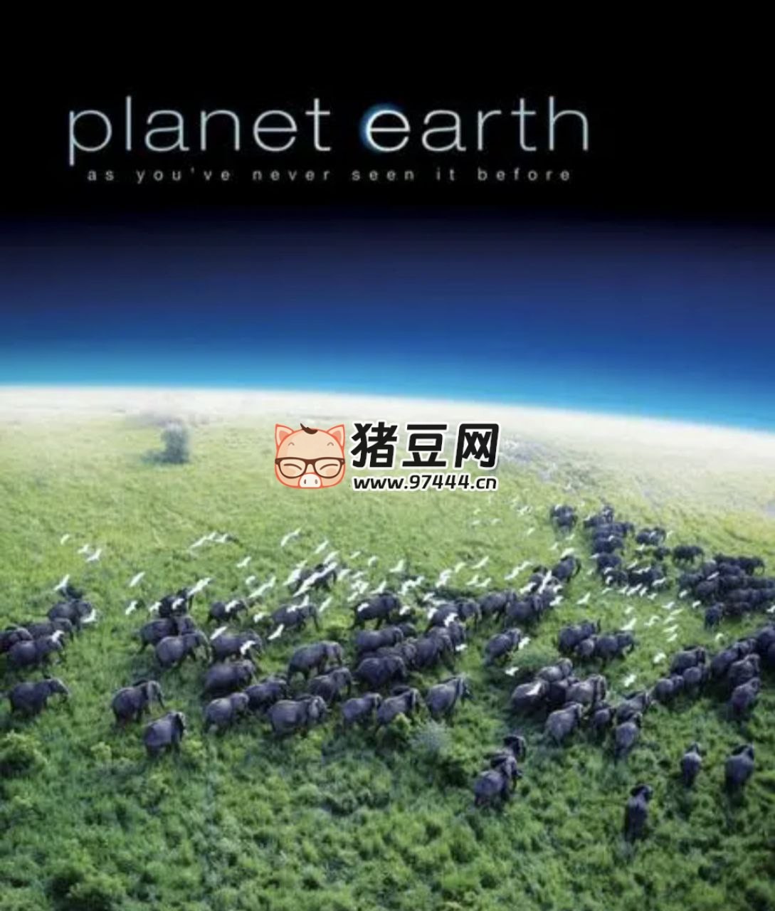 《地球脈動》(2006) 1080P 國粵英臺四音軌 默認英語 中字外字幕