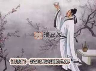 詩(shī)詞大會(huì)：走進(jìn)詩(shī)詞的世界（完結(jié)）