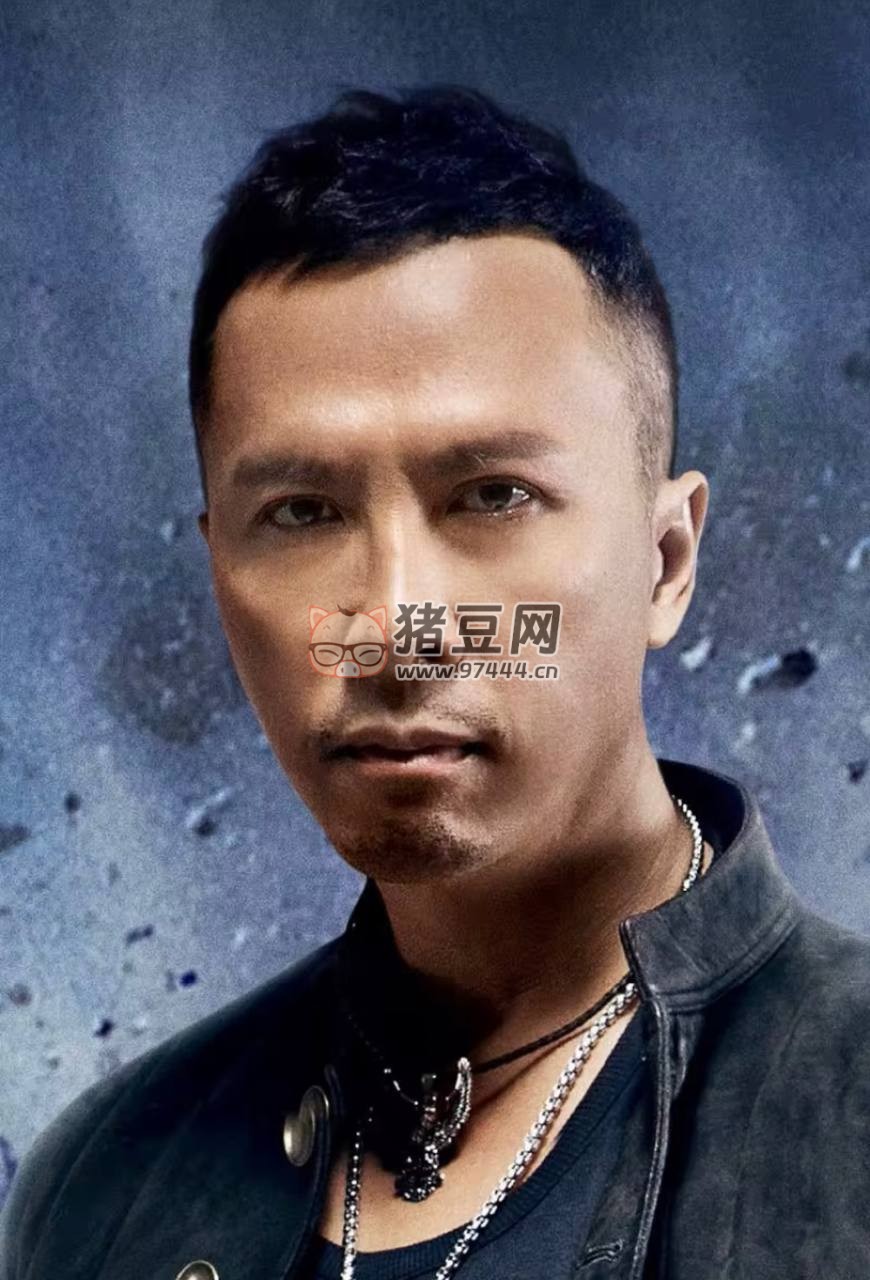 甄子丹電影合集