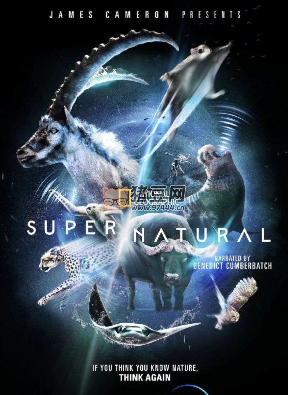 《超凡動物奇觀》(2022) 4K HDR 中字內(nèi)嵌字幕