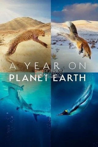 《地球上的一年》(2022) 4K Dv 中字硬字幕