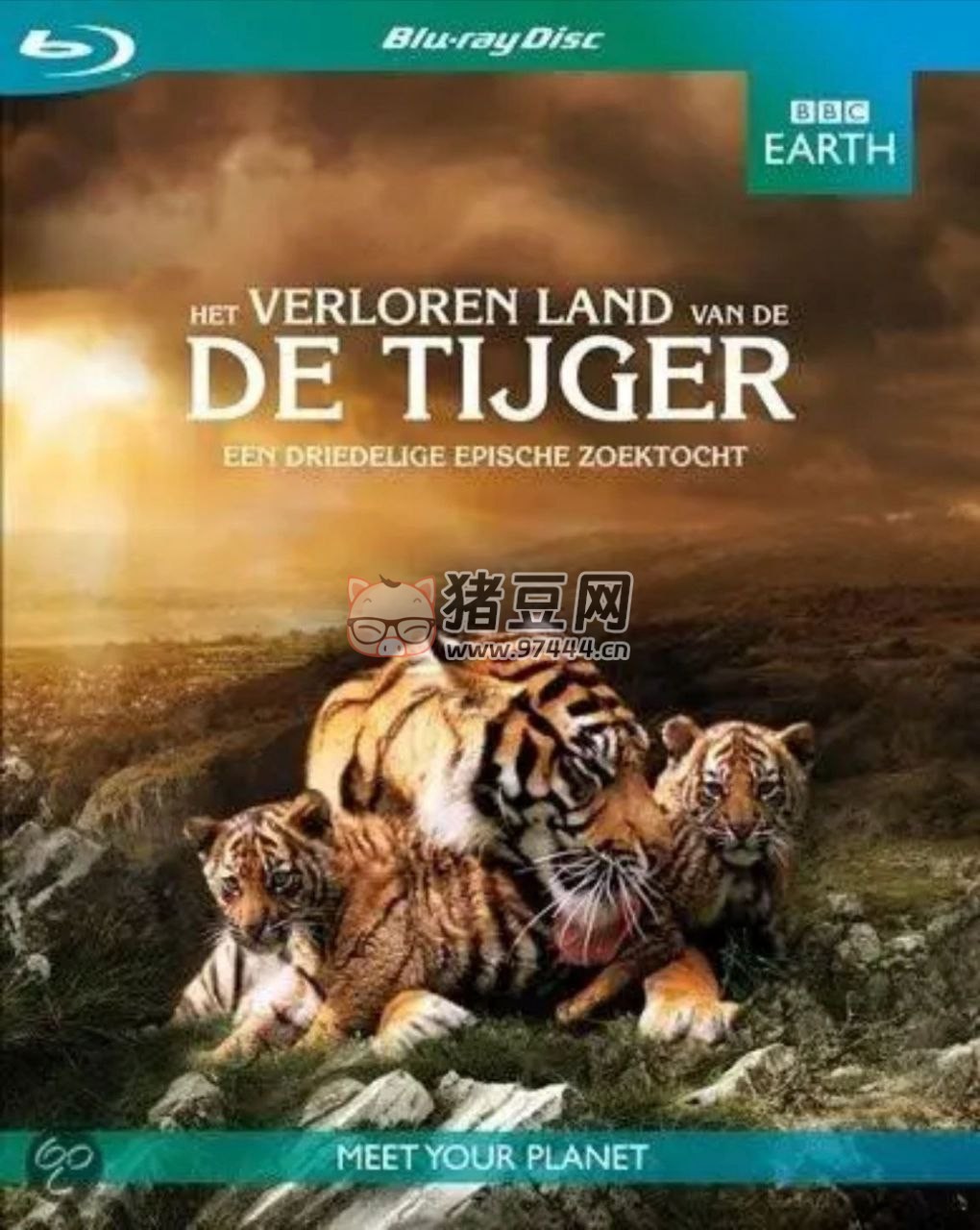 《老虎失落之地》(2010) 720P