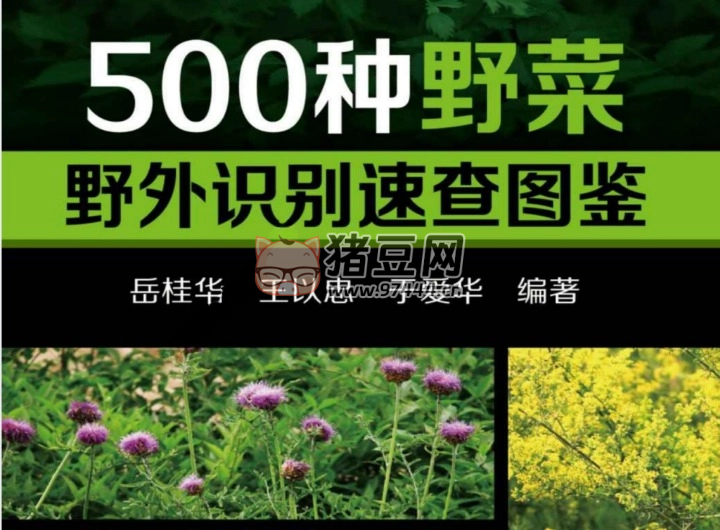 500 種野菜野外識(shí)別速查圖鑒