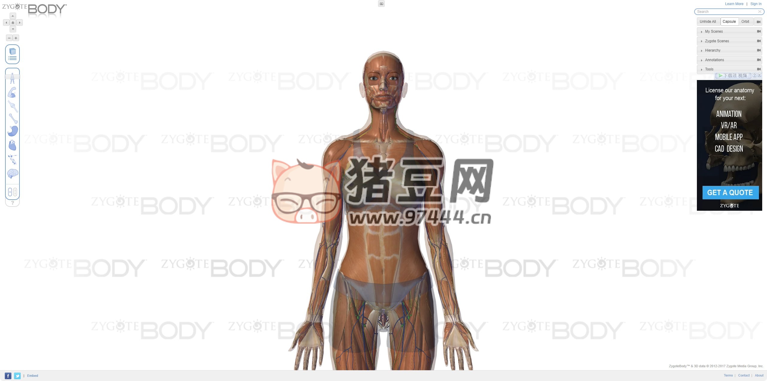 Zygote Body：人體 3D 解剖在線學(xué)習(xí)網(wǎng)站