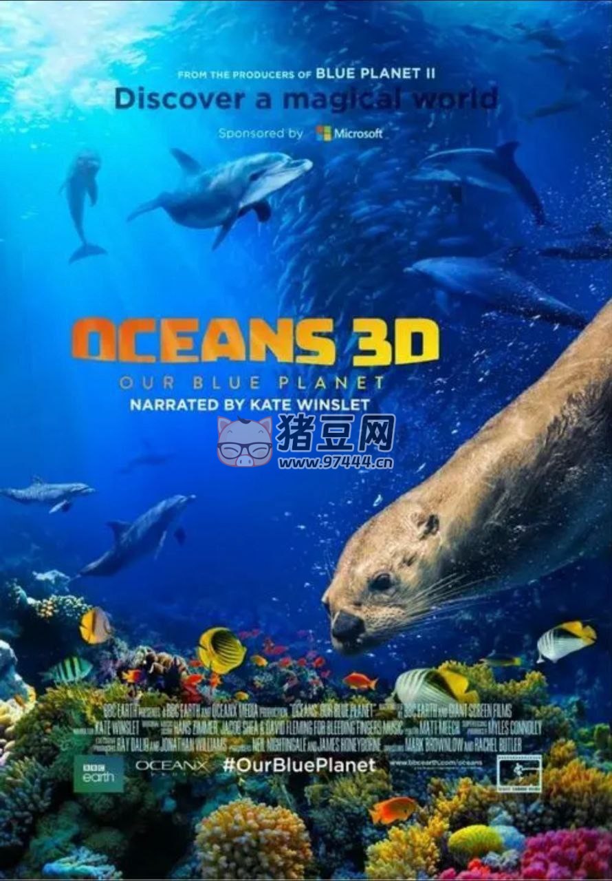 《海洋：我們的藍(lán)色星球》(2018) 4K REMUX (藍(lán)光 原盤(pán)) 中字外掛字幕