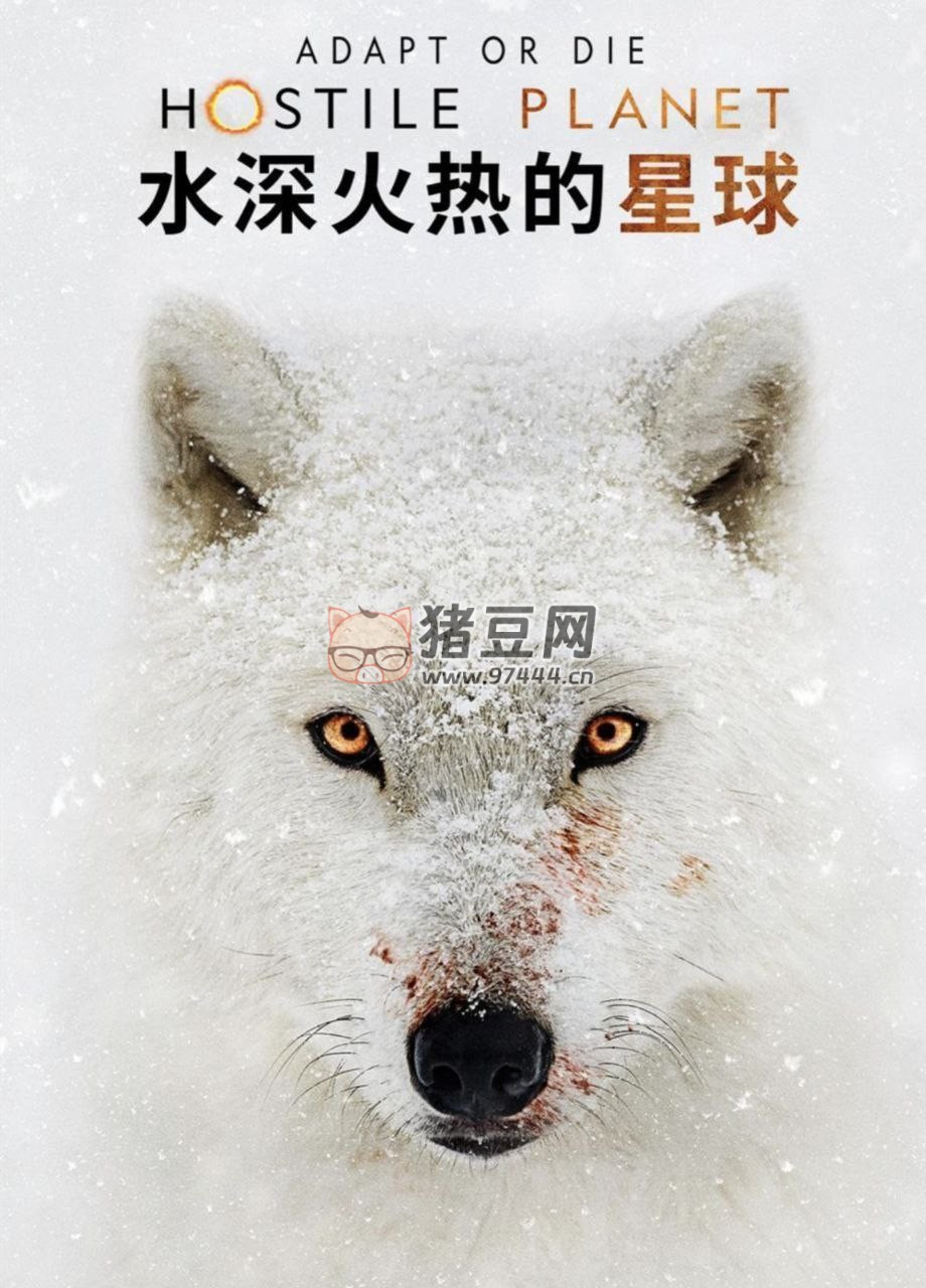 《水深火熱的星球》(2019) 1080P 中英外掛字幕