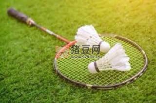 羽毛球從基礎(chǔ)到高手：世界冠軍陳金教練開(kāi)課