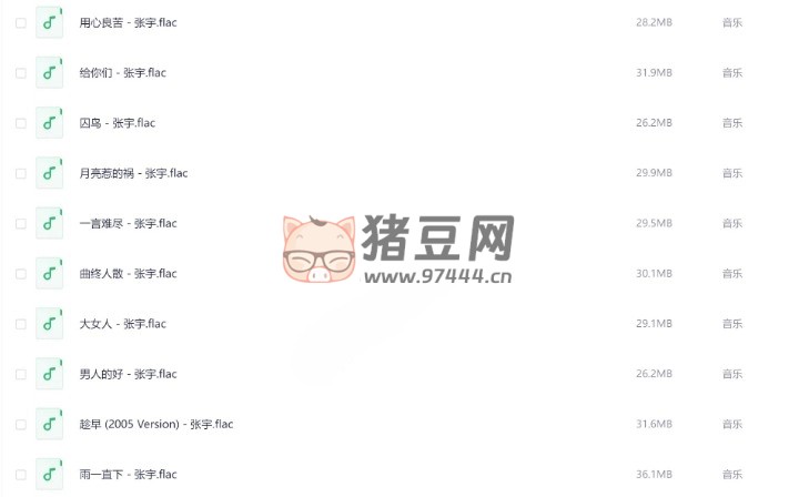 張宇精選無損歌曲合集