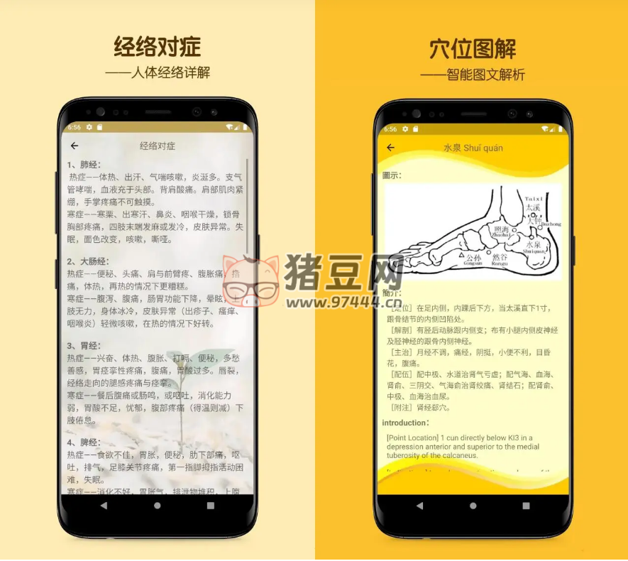 人體穴位圖解 v3.1.3 人體經(jīng)絡(luò)去廣告版