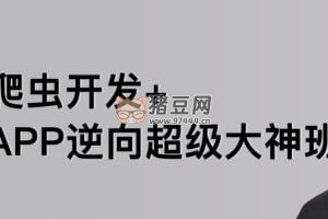 路飛學城：爬蟲開發(fā) +APP 逆向超級大神班 01 期