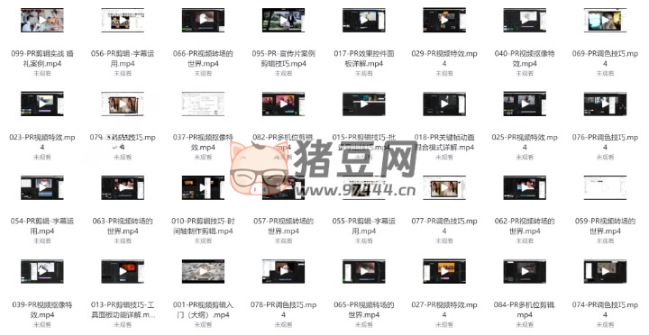 PR 從零基礎(chǔ)入門到視頻剪輯大神教程（100 集全）