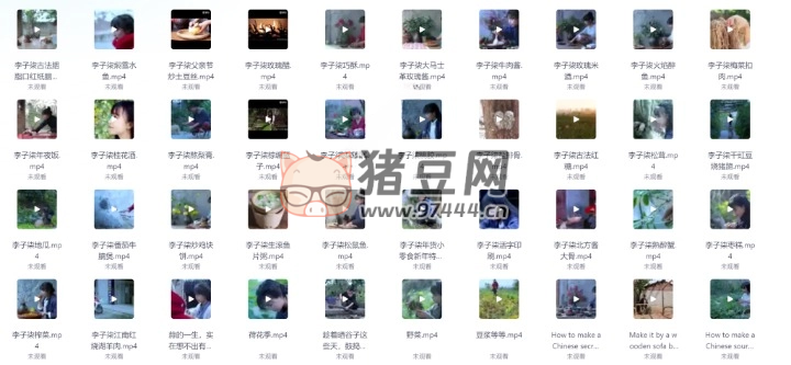 李子柒高清視頻合集