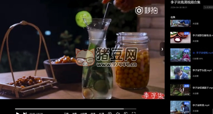 李子柒高清視頻合集