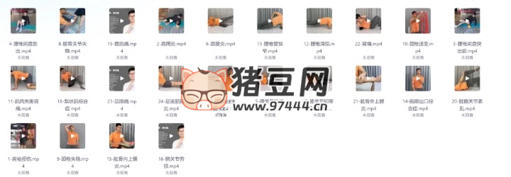 24 種疼痛康復(fù)訓(xùn)練營(yíng)視頻課