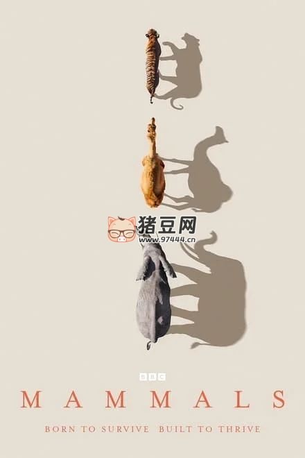 《哺乳動(dòng)物星球》紀(jì)錄片