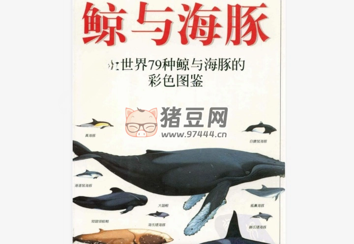 《魚：全世界 300 種魚的彩色圖鑒 + 鯨與海豚：全世界 79 種鯨與海豚的彩色圖鑒》電子書 5 冊全