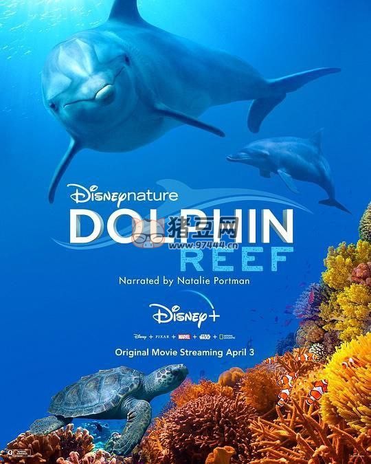 《海豚礁》紀(jì)錄片 (2020) 4K HDR 中字外掛字幕