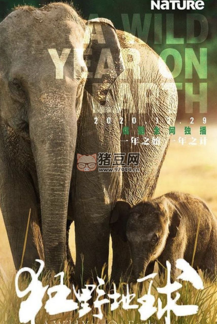 《狂野地球》紀(jì)錄片 (2020) 1080P 中英外掛字幕
