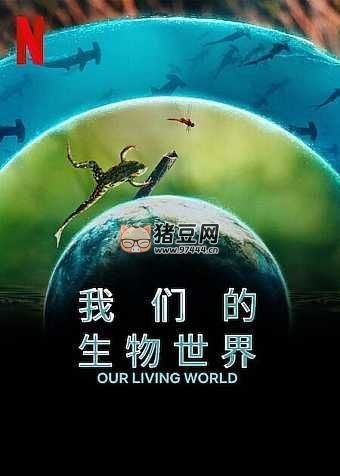 《我們的生物世界》紀錄片 (2024) 4K HDR & Dv 中字內(nèi)嵌字幕