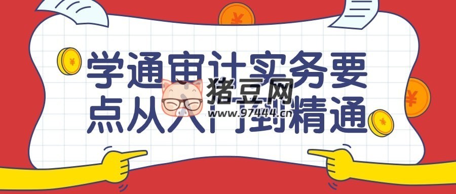 學(xué)通審計實務(wù)要點從入門到精通課