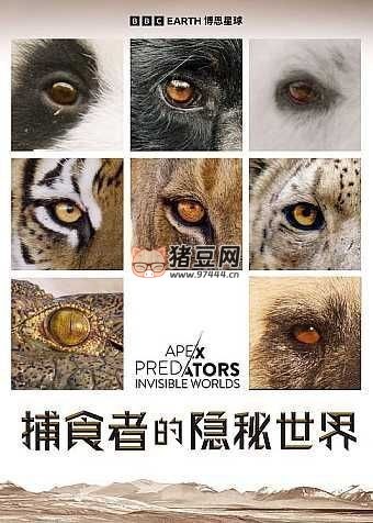 《捕食者的隱秘世界》紀(jì)錄片 (2024) 4K 高碼 國英多音軌 中英硬字幕