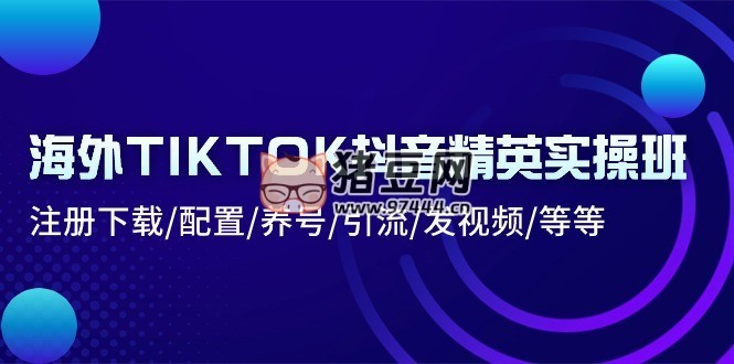 海外 TIKTOK 抖音精英實(shí)操班