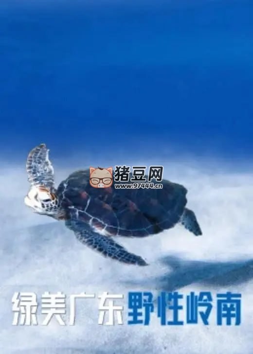 《綠美廣東·野性嶺南》紀(jì)錄片 (2023) 1080P