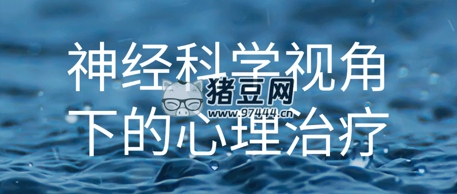 神經(jīng)科學視角下的心理治療
