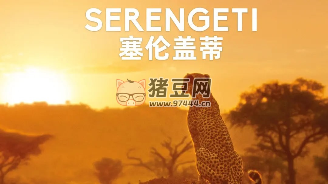 《塞倫蓋蒂》紀(jì)錄片 第一季 Serengeti Season 1 (2019)