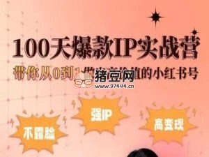 小紅書 100 天爆款 IP 實(shí)戰(zhàn)營