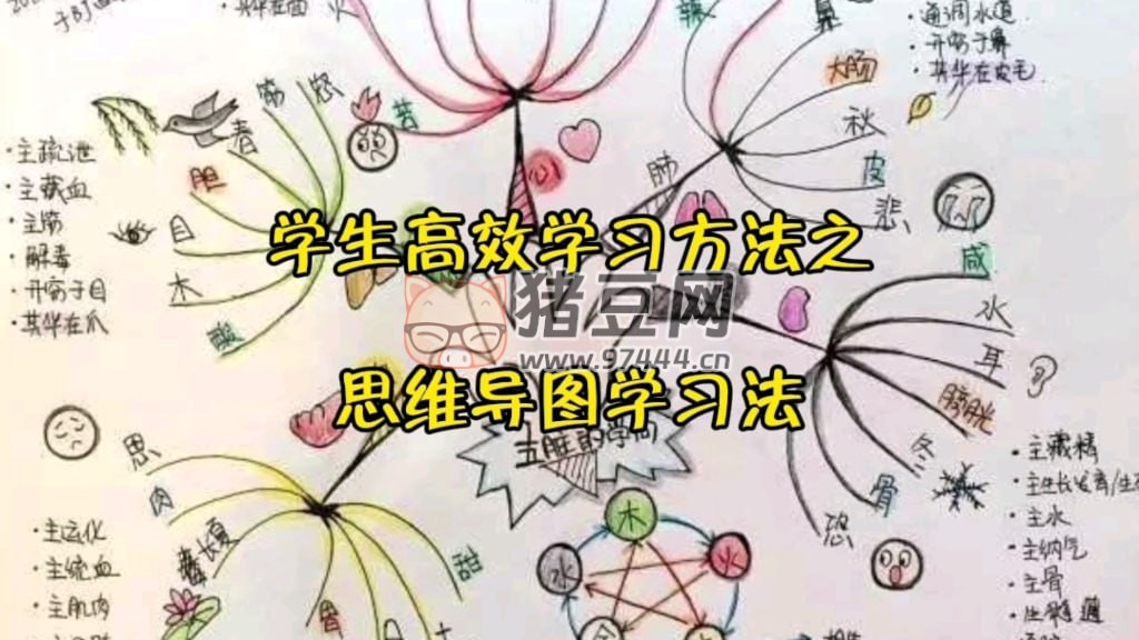 思維導圖高效學習法