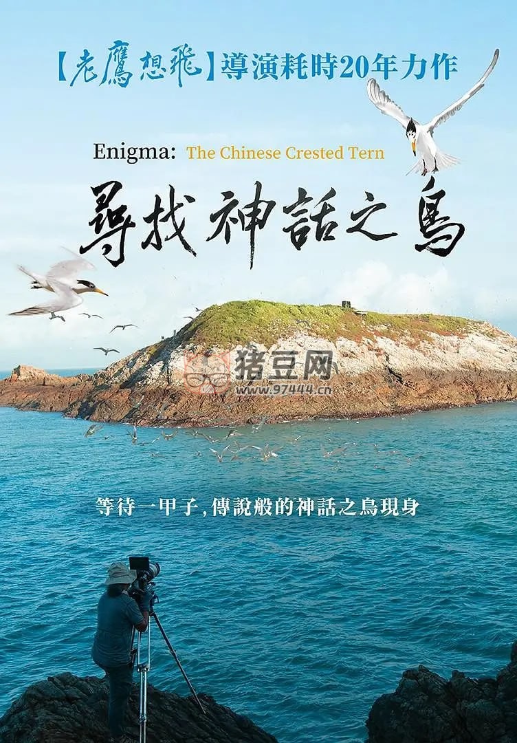 《尋找神話之鳥》紀錄片 (2021) 1080P