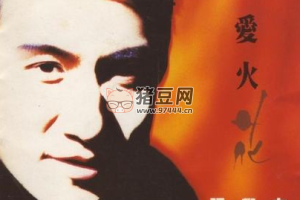 60-90 年代經(jīng)典老歌 1100 首合集