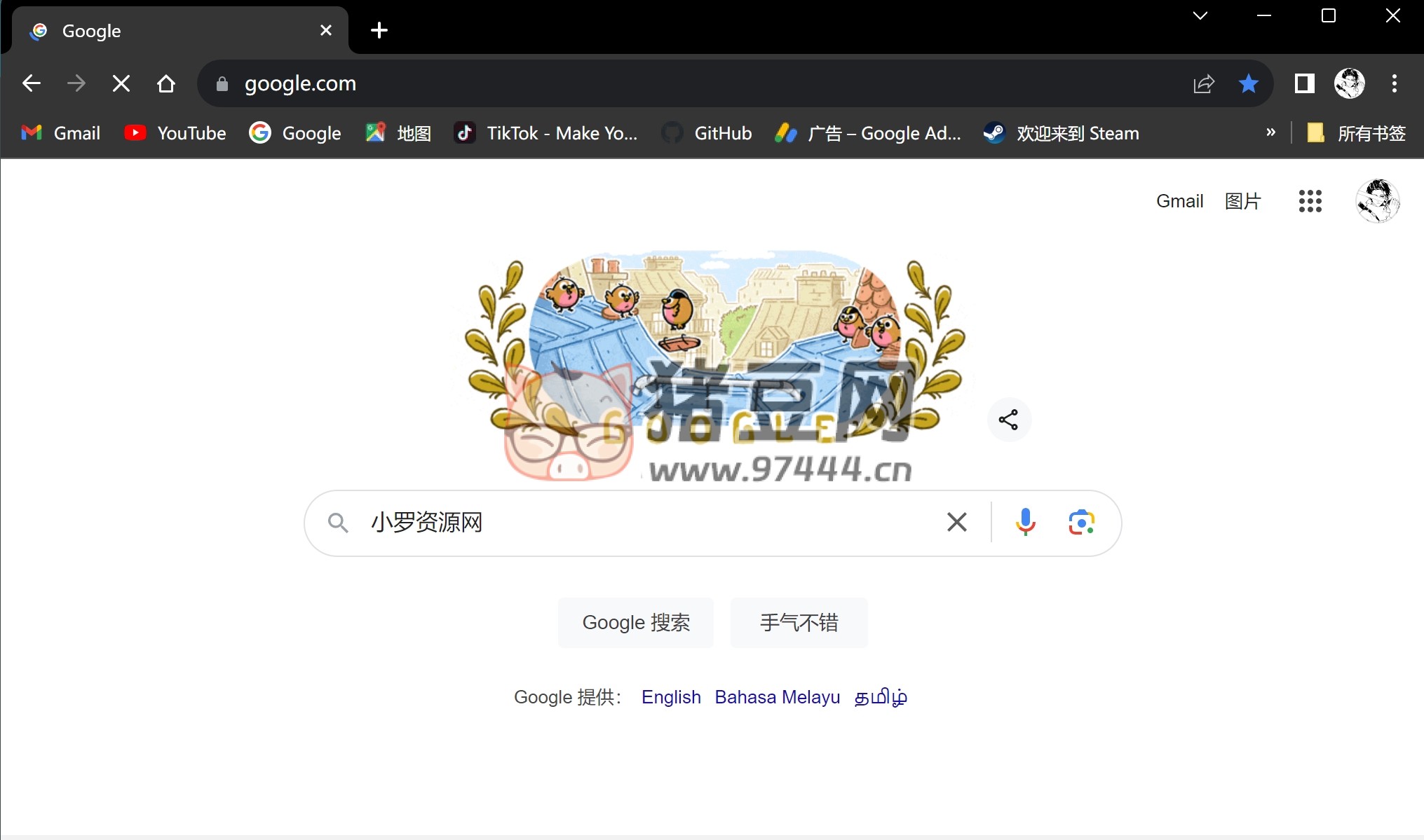 谷歌瀏覽器 Chrome v127.0.6533.73 增強(qiáng)免裝版