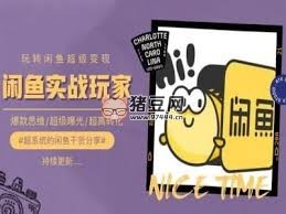 手把手教你 0 到 1 系統(tǒng)玩轉閑魚變現(xiàn)