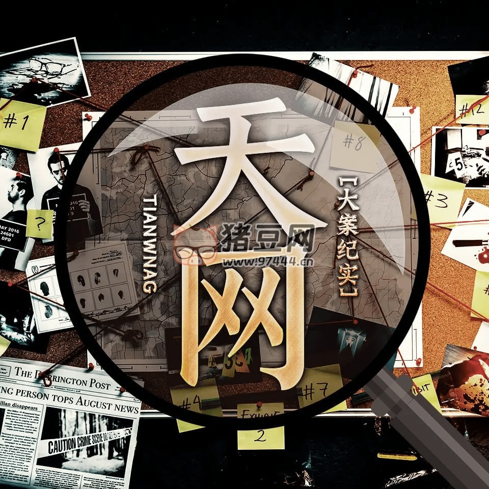 《天網(wǎng)》有聲小說 播音：當(dāng)歌 194 集完結(jié)